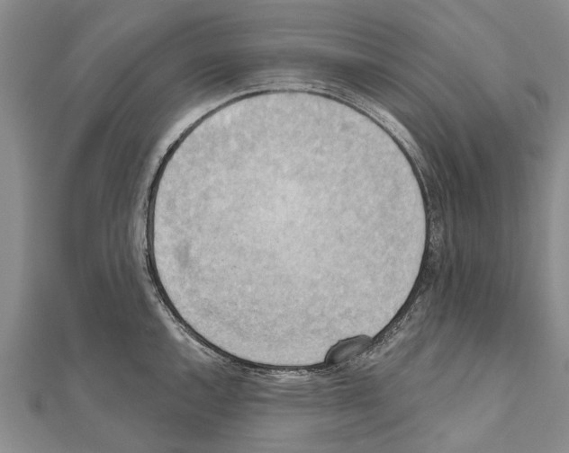 X0000111041144200908061451