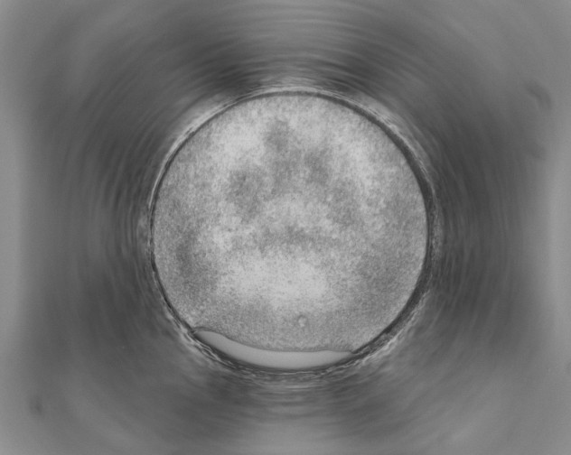 X0000111041145200908061451