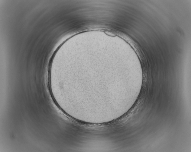 X0000111041147200908061451