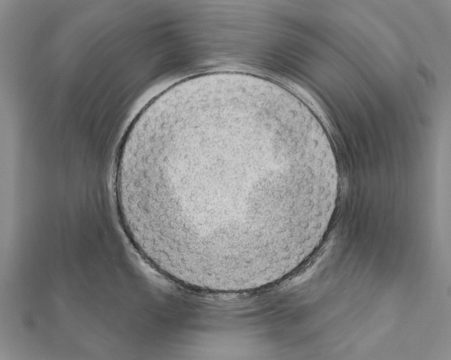 X0000111041149200908061451