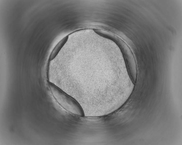 X0000111041152200908061451