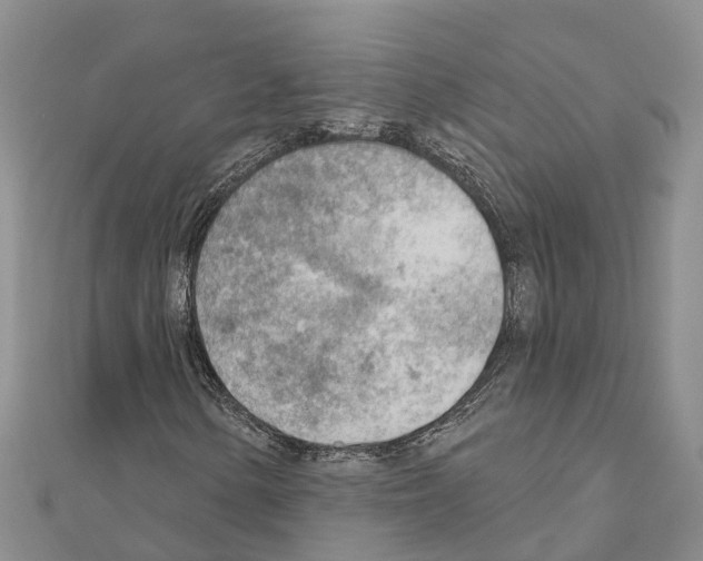 X0000111041154200908061451