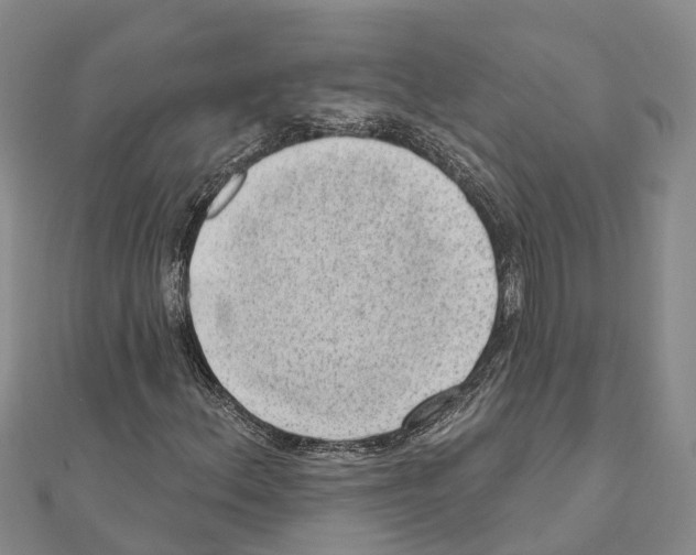 X0000111041156200908061451