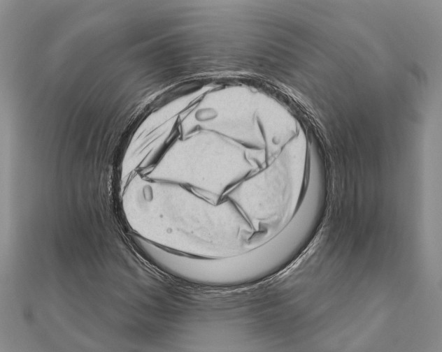 X0000111041161200908061451