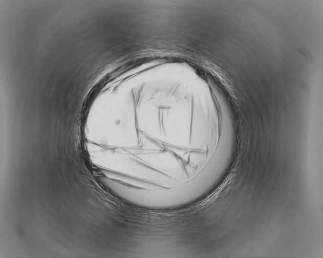 X0000111041165200908061451