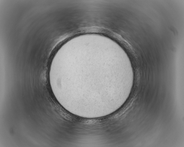 X0000111041166200908061451