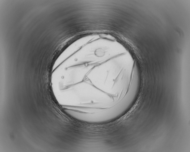 X0000111041169200908061451