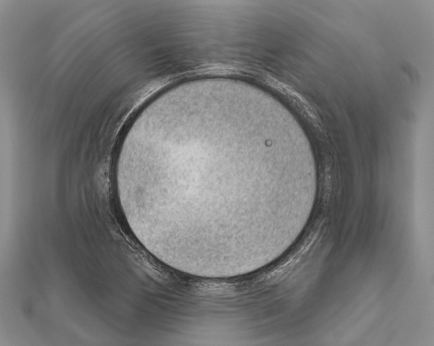 X0000111041170200908061451