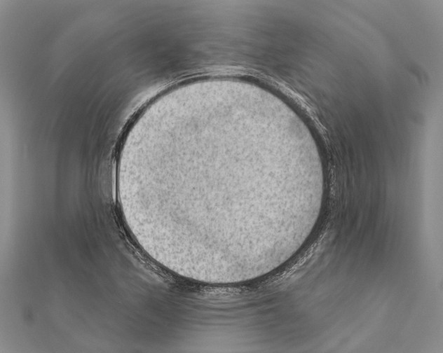 X0000111041171200908061450