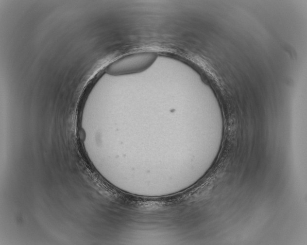 X0000111041173200908061450