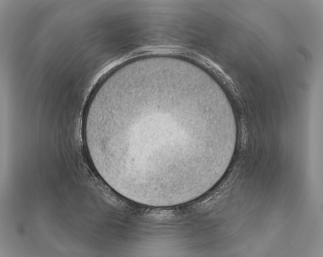 X0000111041174200908061450