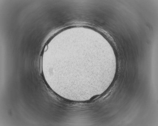 X0000111041175200908061450