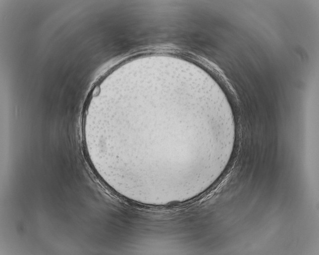 X0000111041176200908061450