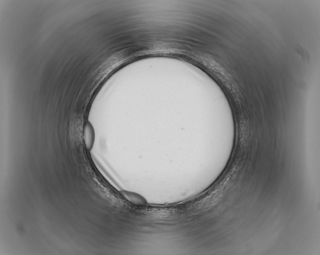 X0000111041177200908061450