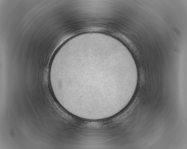 X0000111041178200908061450