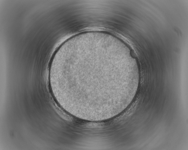 X0000111041179200908061450