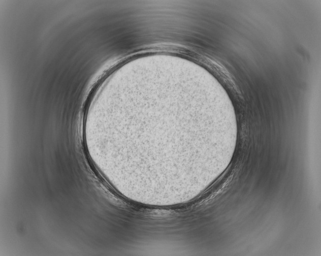 X0000111041180200908061450