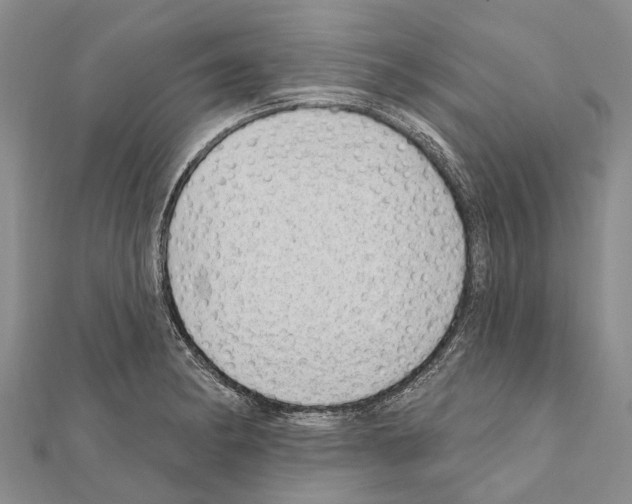 X0000111041182200908061450