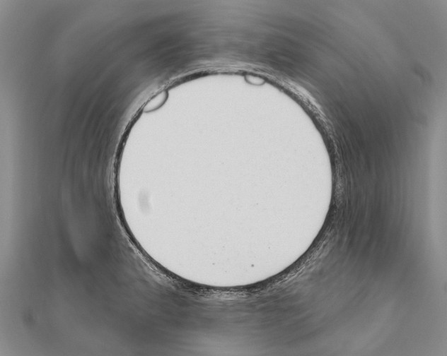 X0000111041183200908061450