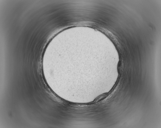 X0000111041184200908061450