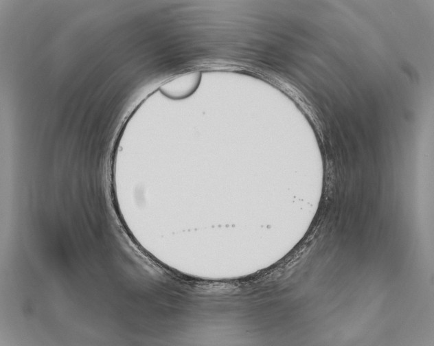 X0000111041187200908061450