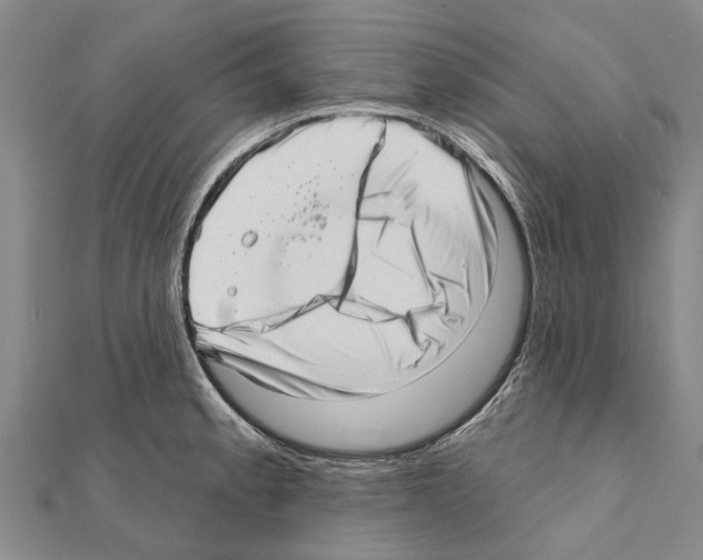 X0000111041189200908061450