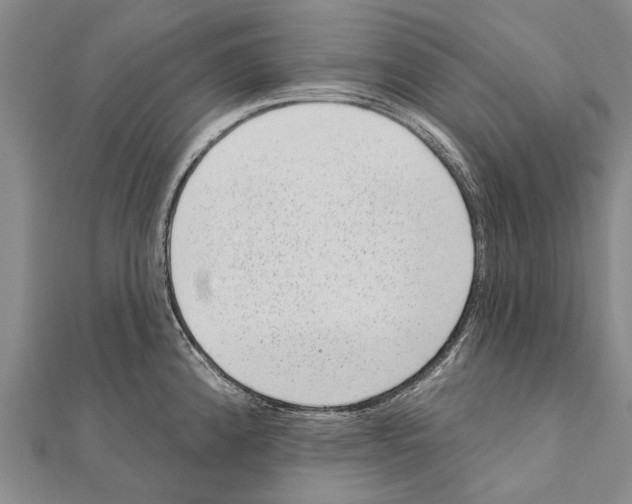 X0000111041192200908061450