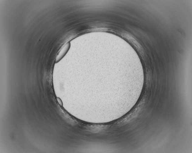 X0000111041193200908061450