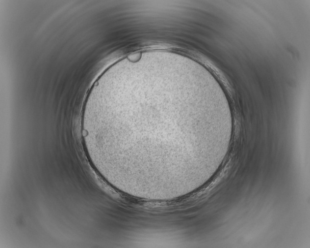 X0000111041194200908061450