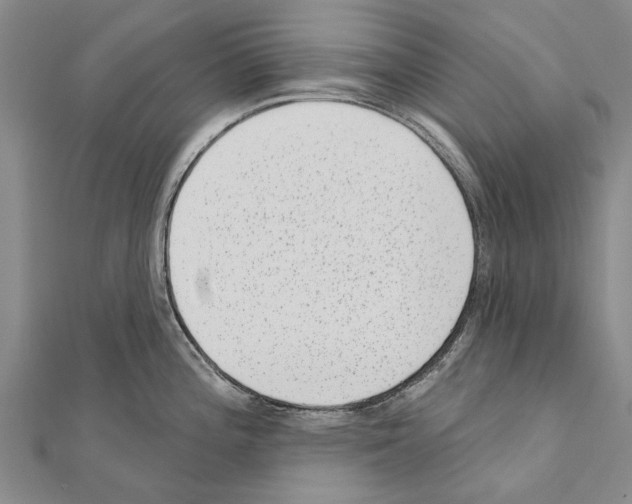 X0000111041196200908061450