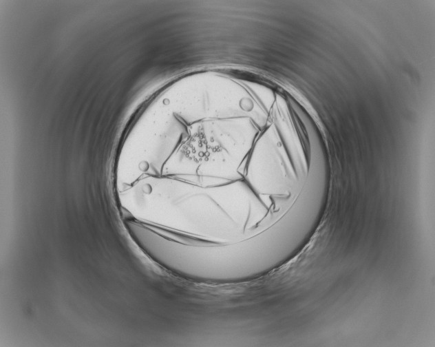 X0000111041197200908061450