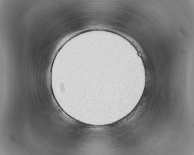 X0000111041199200908061450