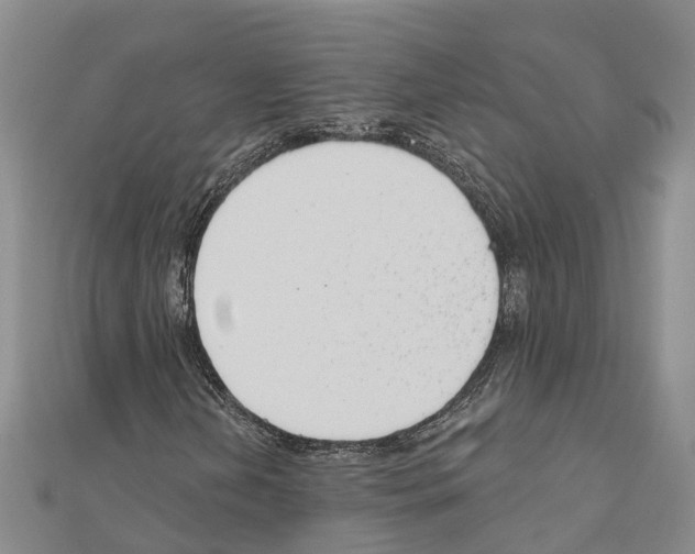 X0000111041202200908061450