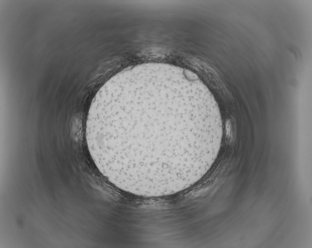 X0000111041203200908061450