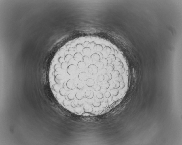 X0000111041205200908061450