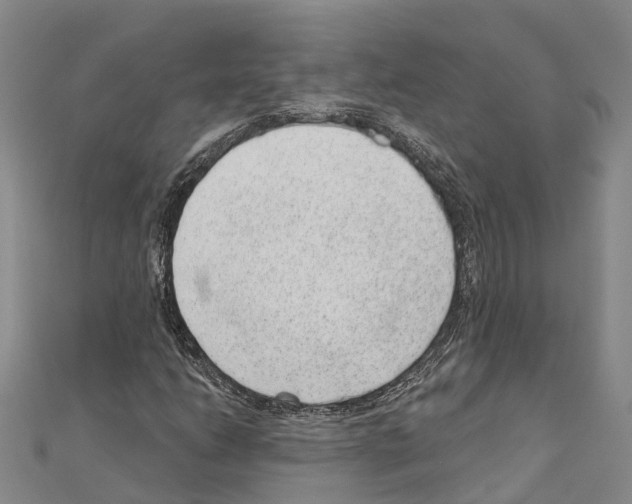 X0000111041206200908061450