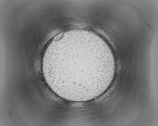 X0000111041211200908061450