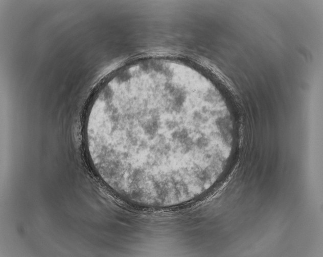 X0000111041213200908061450