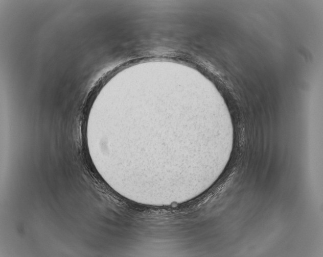 X0000111041214200908061450