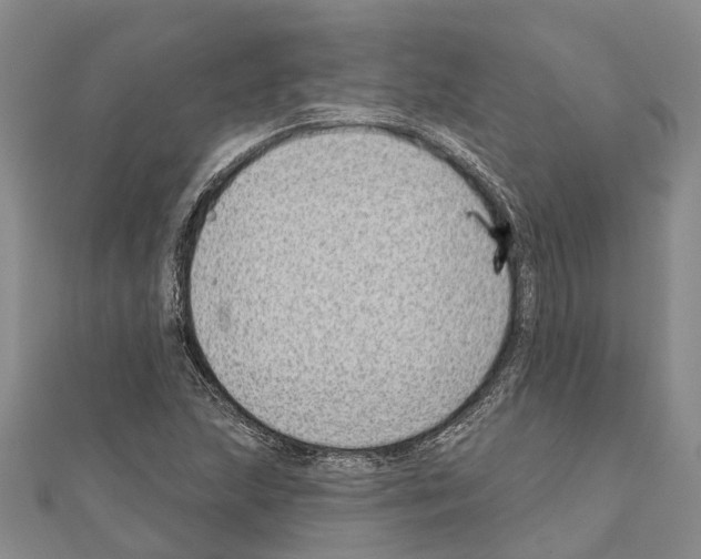 X0000111041215200908061450