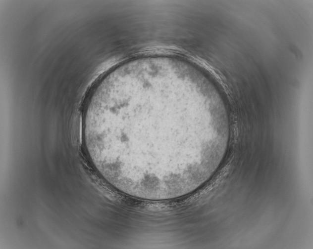 X0000111041219200908061450