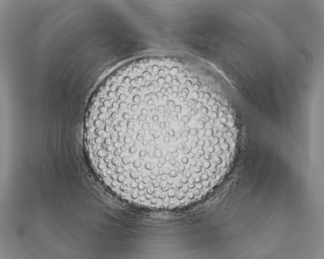 X0000111041220200908061450