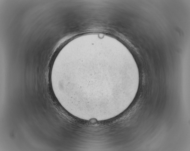 X0000111041222200908061450