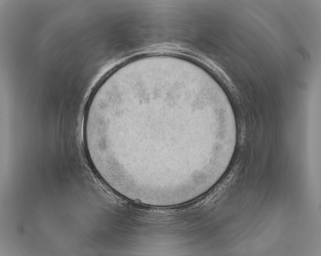 X0000111041224200908061450