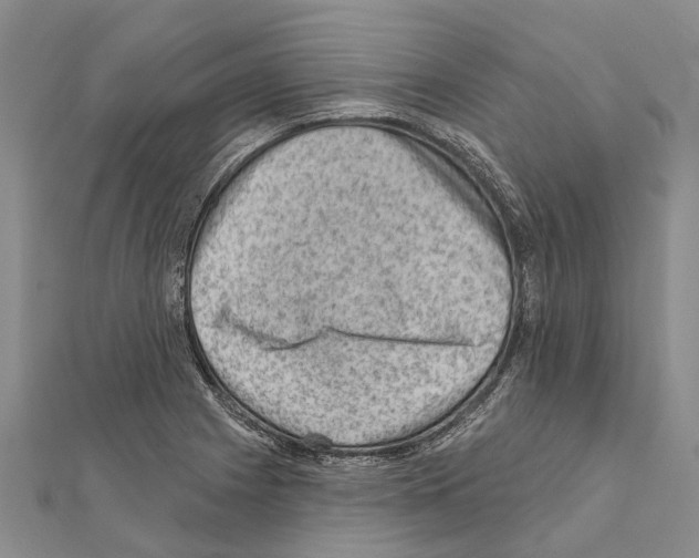 X0000111041225200908061450