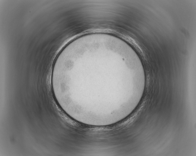 X0000111041228200908061450