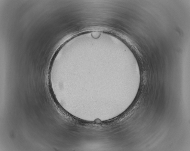 X0000111041229200908061450