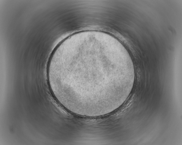 X0000111041230200908061450