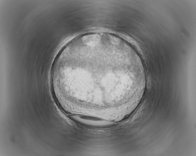 X0000111041231200908061450