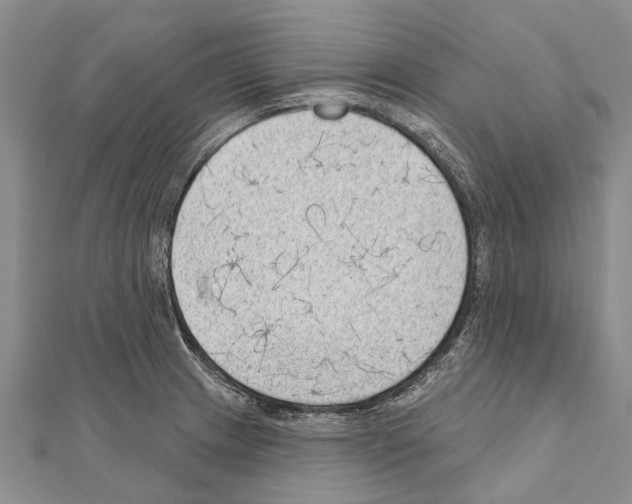 X0000111041233200908061450